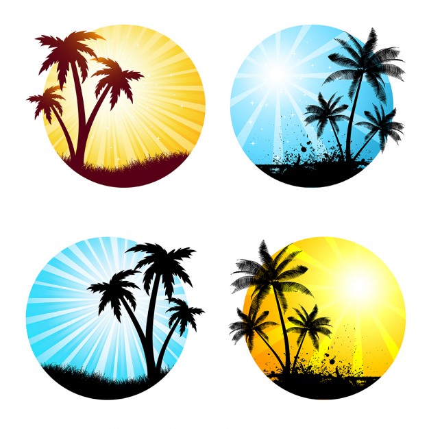 Various summer scenes with palm trees Vector | Free Download