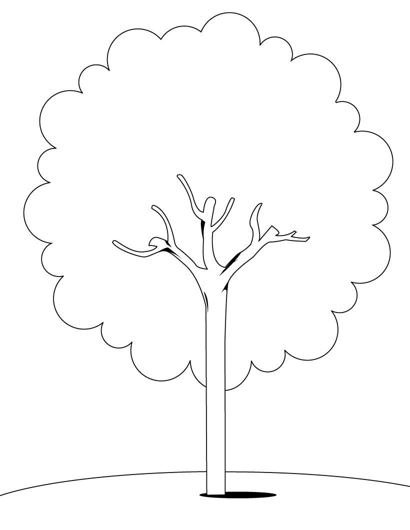 Tree Coloring Pages - Dr. Odd