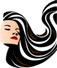 Hair Beauty - vector clip art online, royalty free & public domain