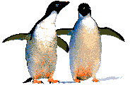 Penguins Graphics and Animated Gifs. Penguins