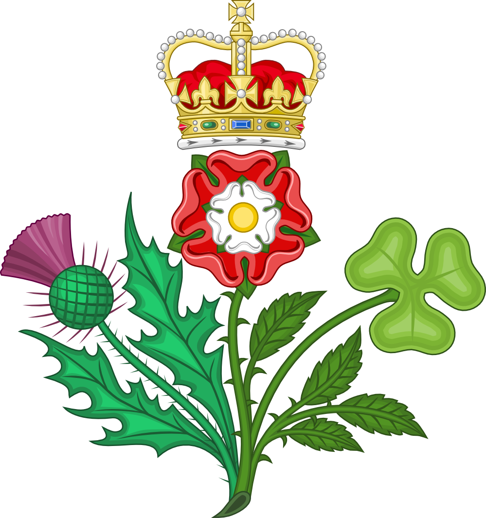 saint patricks day crowned floral badges of the ...