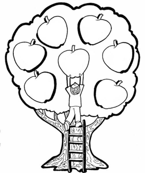 Have About Files Drawing Plants Tree Apple - Quoteko.