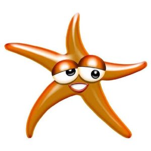Amazon.com - Stella Marina-star Fish-cartoon - 24"H x 24"W - Peel ...