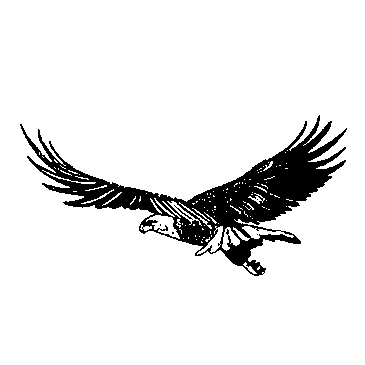 Eagle 01 Clipart Clip Art