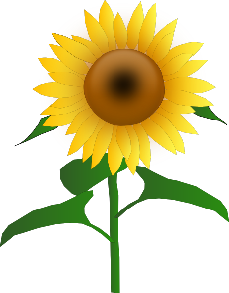 Sunflower Jh clip art - vector clip art online, royalty free ...