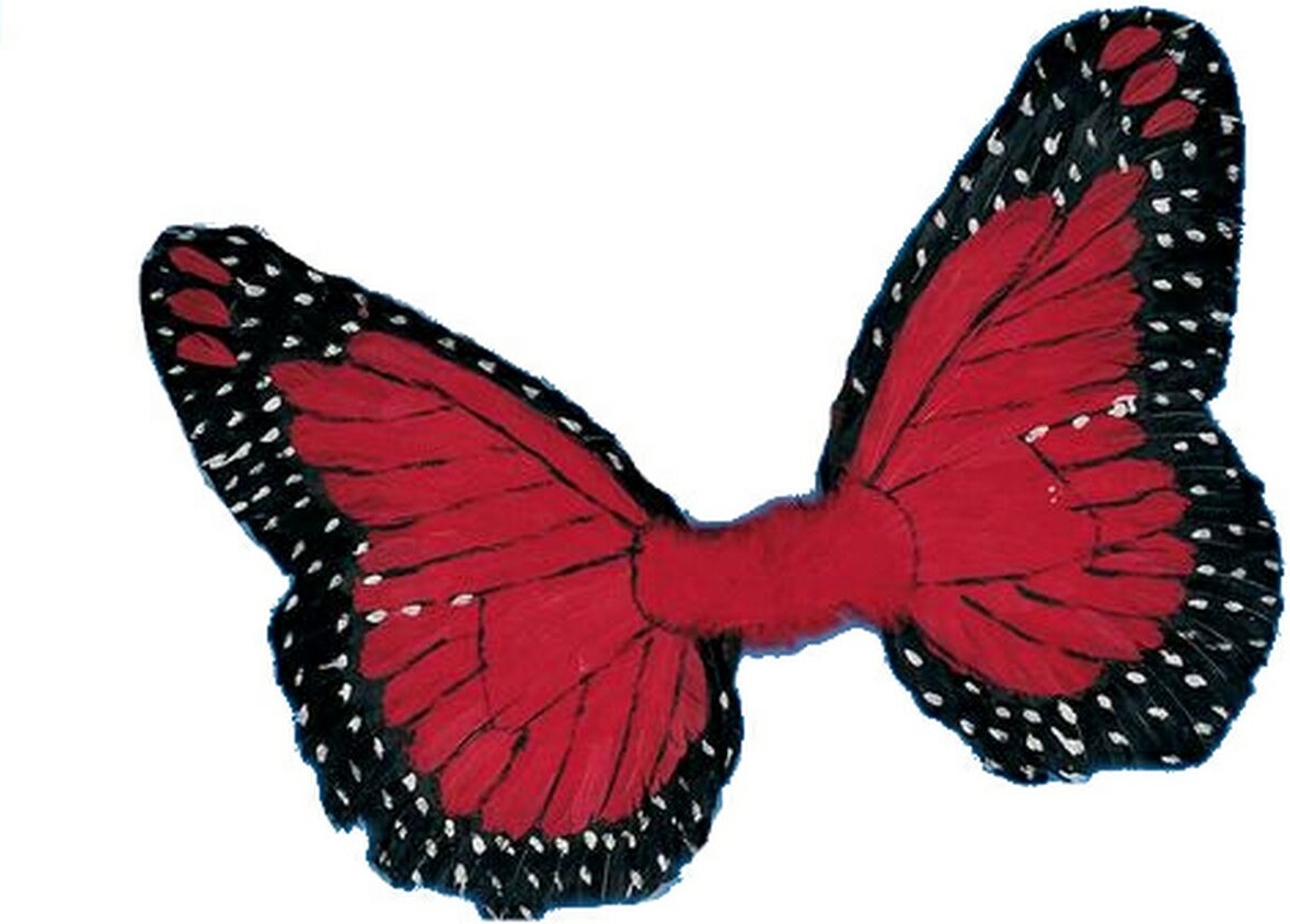 Adult Red Feather Butterfly Halloween Wings - Butterfly Costumes