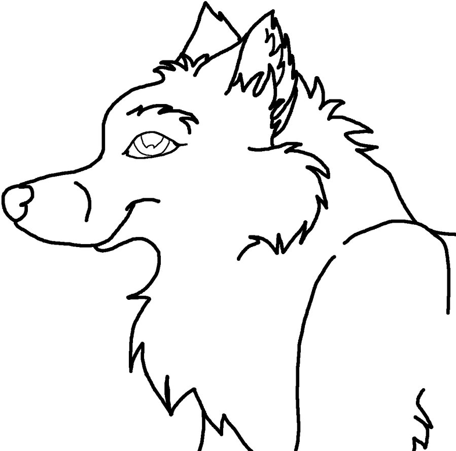 Wolf Drawing Outline