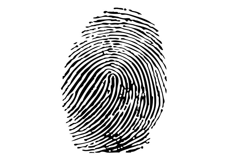 Vector fingerprint - download free vector illustration