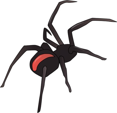 Latrodectus hasselti (Redback Spider) - Insects/Arachnids - Vector ...