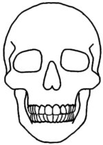 Skull Line Drawing - ClipArt Best
