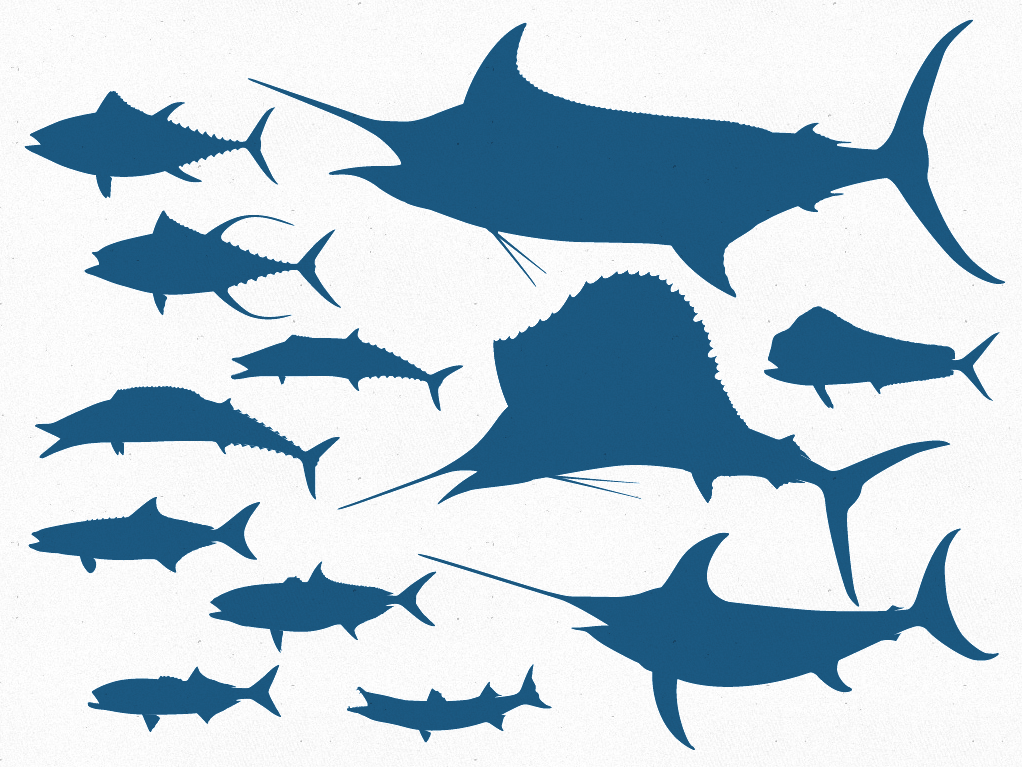 Free Vector File – 12 Offshore Game Fish Silhouettes | The ...