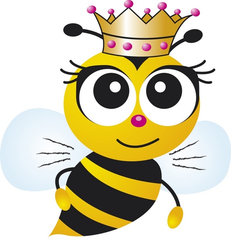 Real queen bee clipart