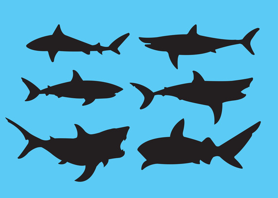 Great white shark Vector | Free Vector Download In .AI, .EPS, .SVG ...