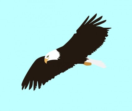 Free soaring eagle clip art