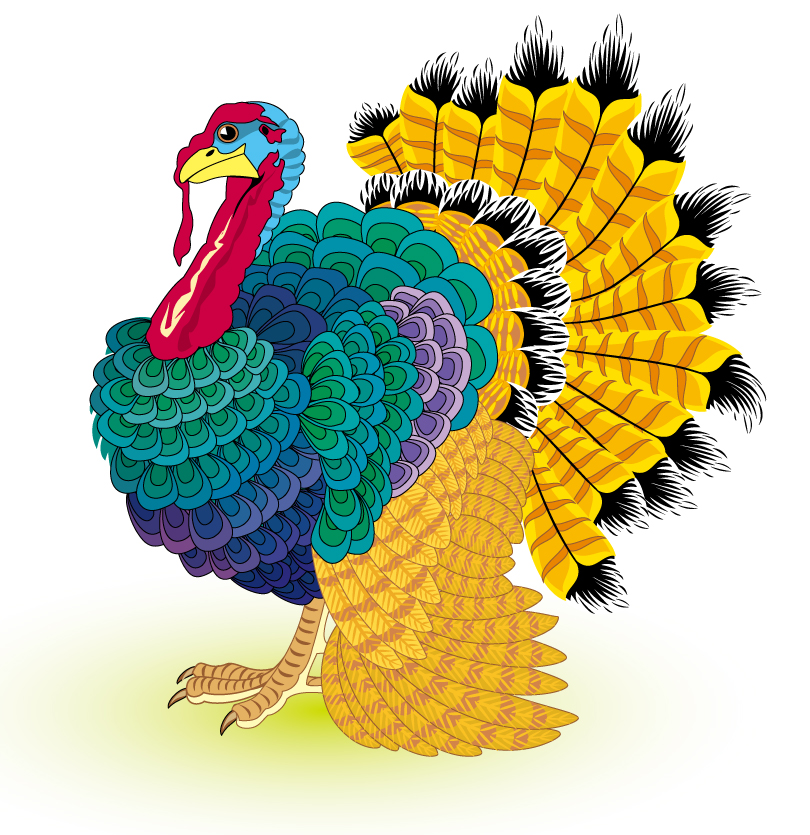 Thanksgiving Day Peacock Vector | Free Vector Graphic Download