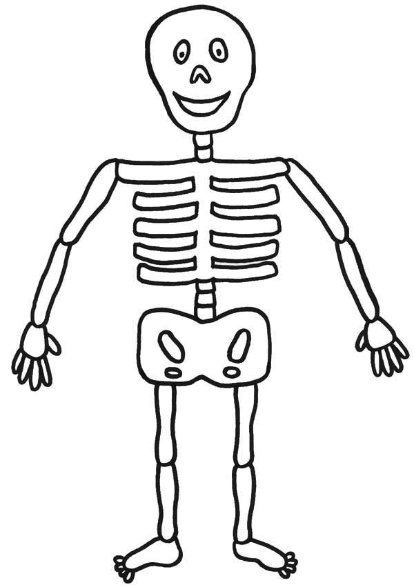 Skeleton Outline For Kids ClipArt Best