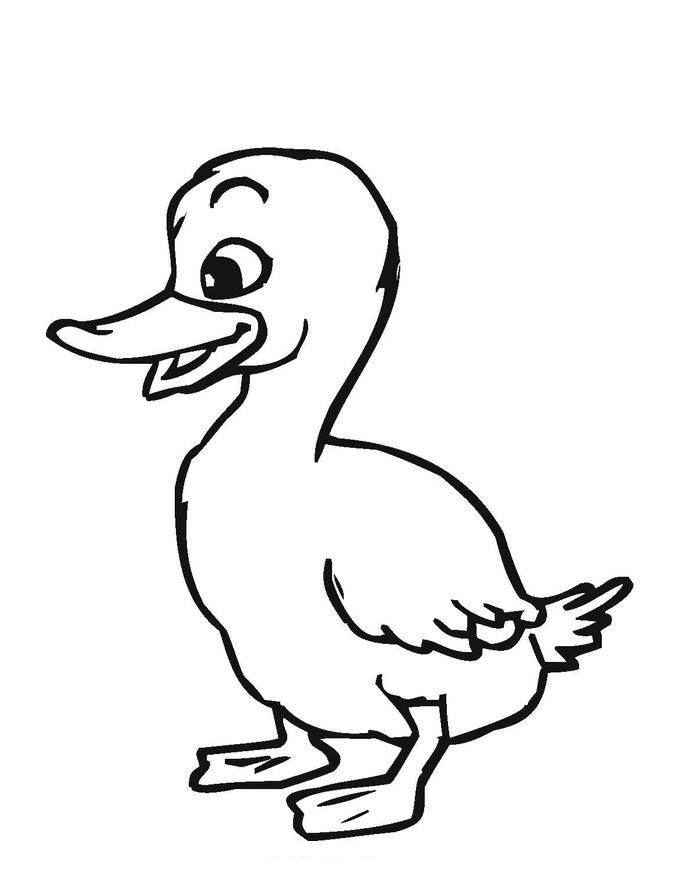 Free Printable Duck Coloring Pages For Kids