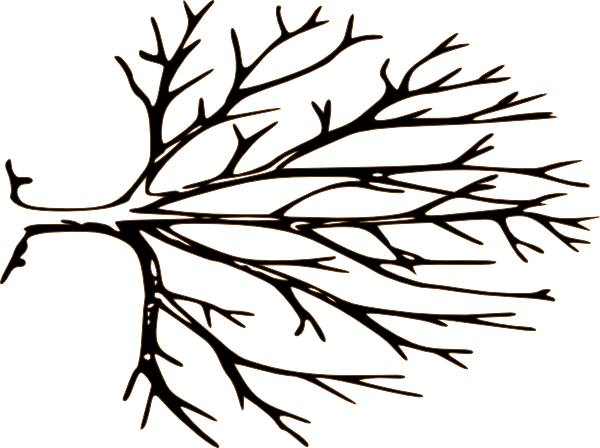 Simple Bare Tree Clipart