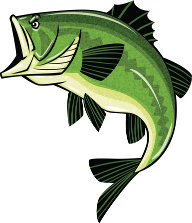 Cartoon Of Big Largemouth Bass Clip Art, Vector Images ...