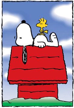1000+ images about Snoopy | Peanuts snoopy, Belle and ...