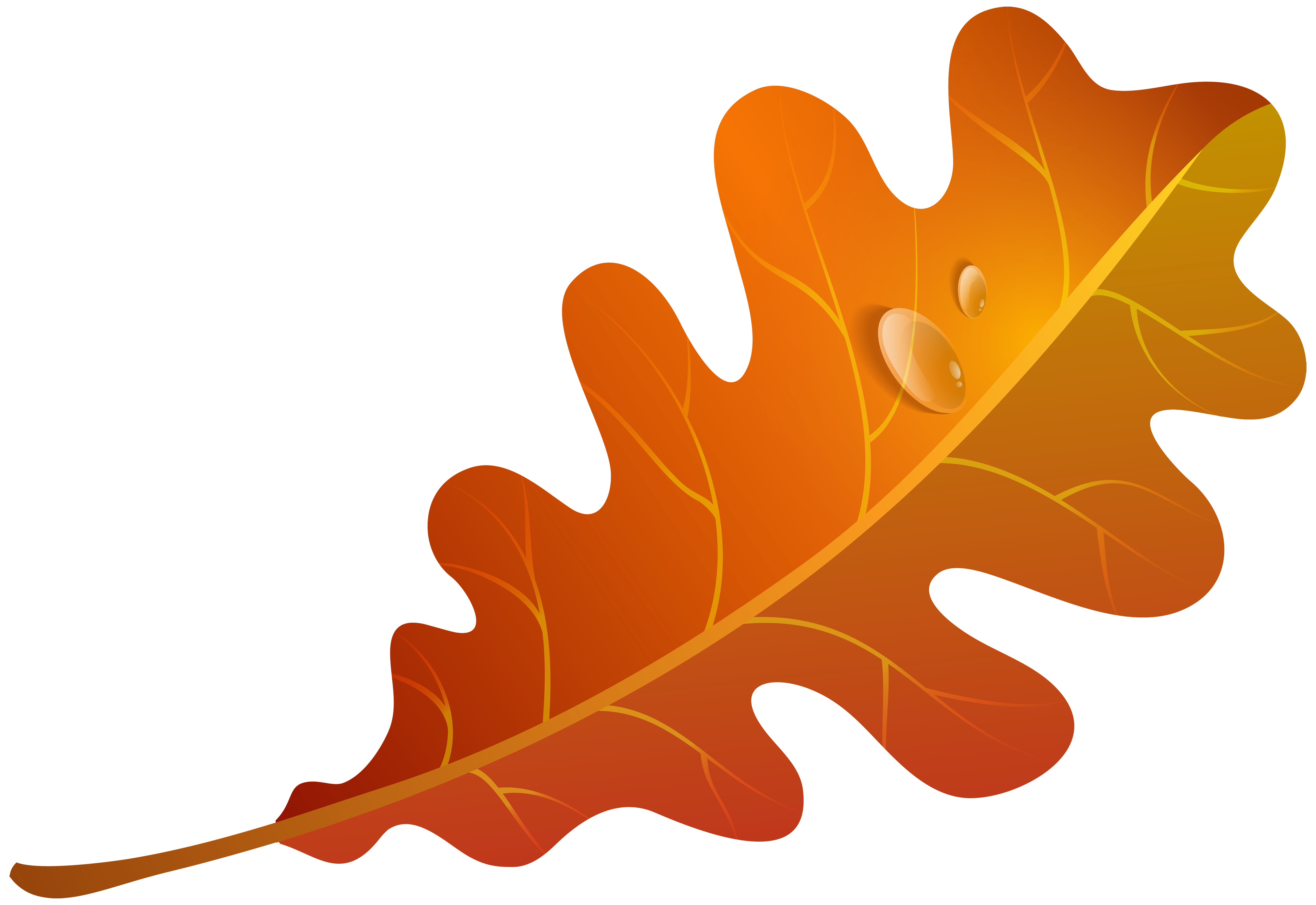 Orange Leaf Clip Art – Clipart Free Download