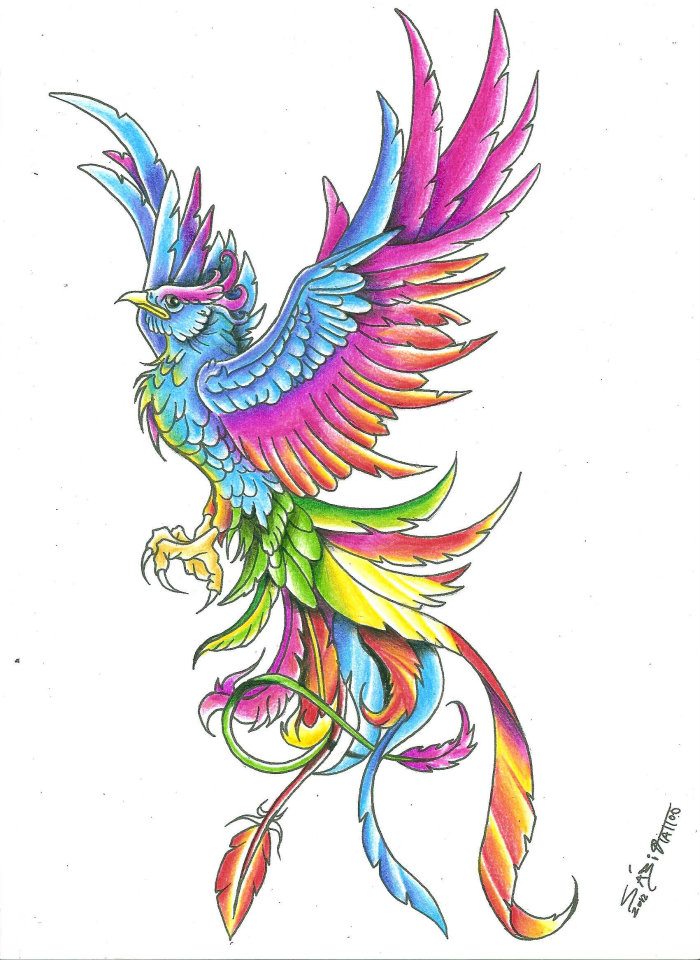 50+ Latest Phoenix Tattoos Designs