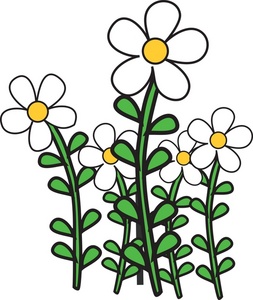 Daisies Clipart Image - Pretty Daisies growing in a flower garden