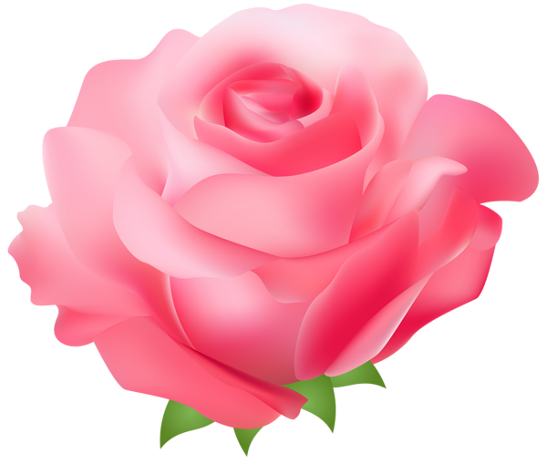 Pink Rose Clip Art – Clipart Free Download