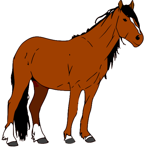 horse photo clip art - photo #5