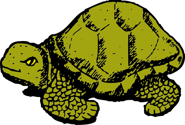 Free to Use & Public Domain Turtle Clip Art
