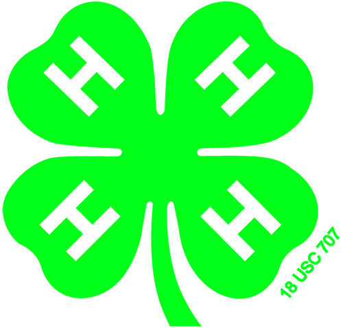 4-H | Positive Youth Development and Mentoring Organization