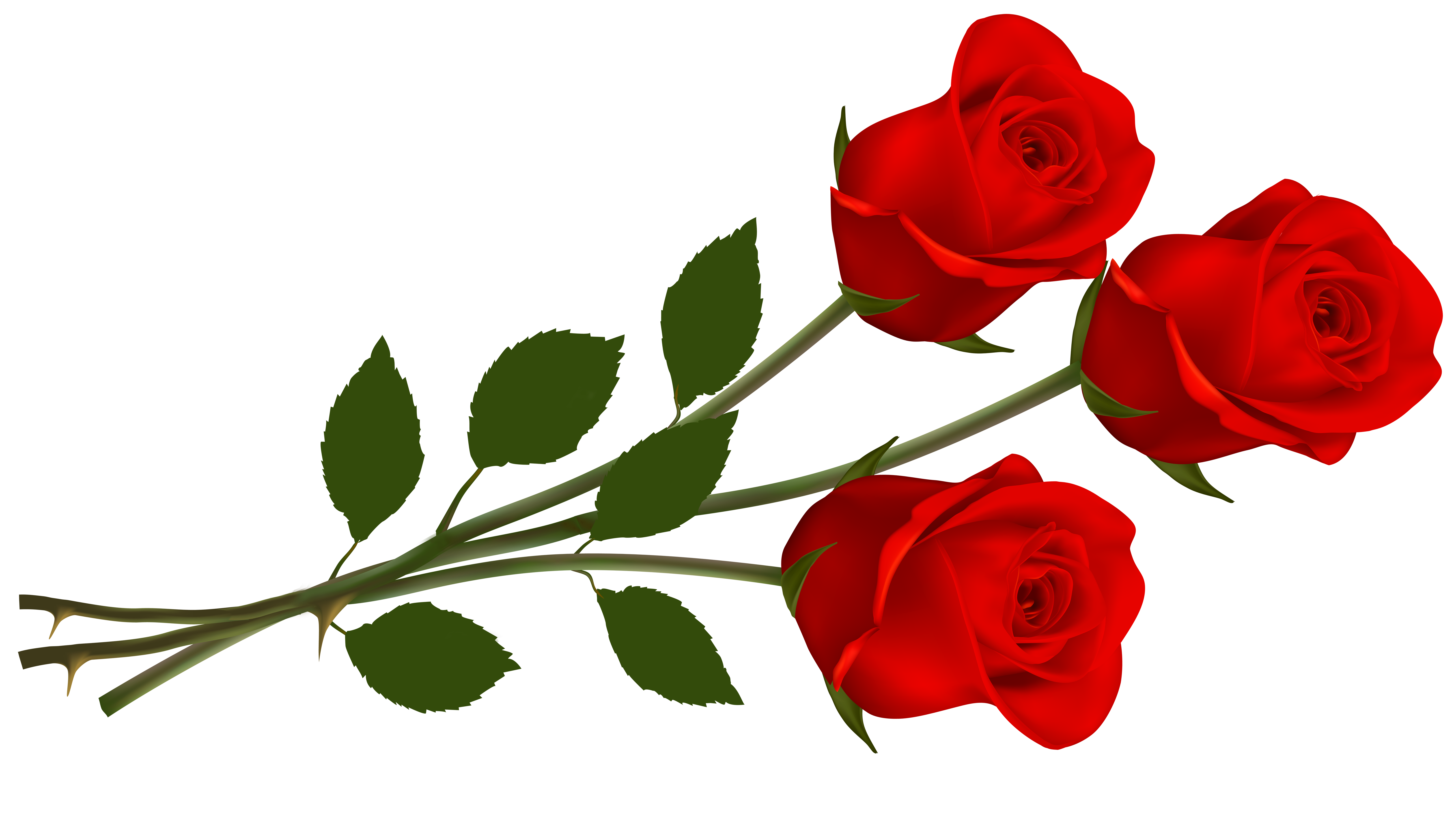 clipart red roses free - photo #1