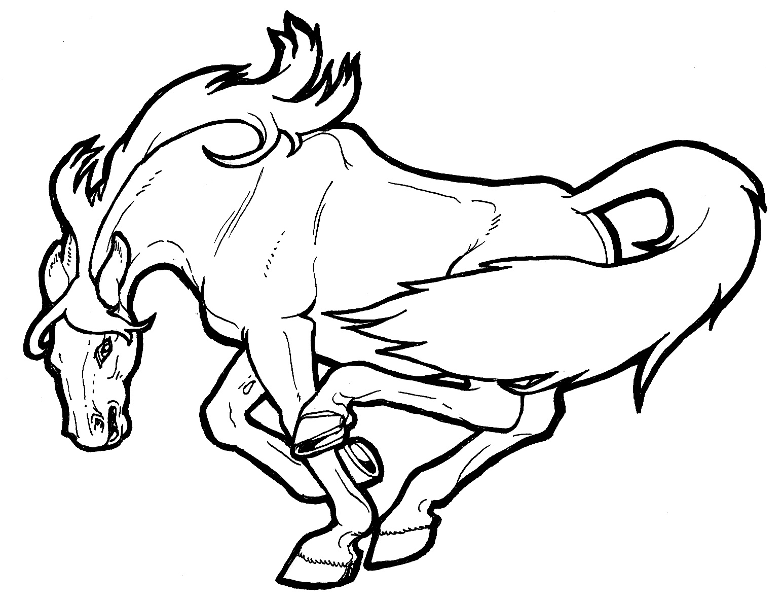 How To Draw A Mustang Horse - ClipArt Best - ClipArt Best