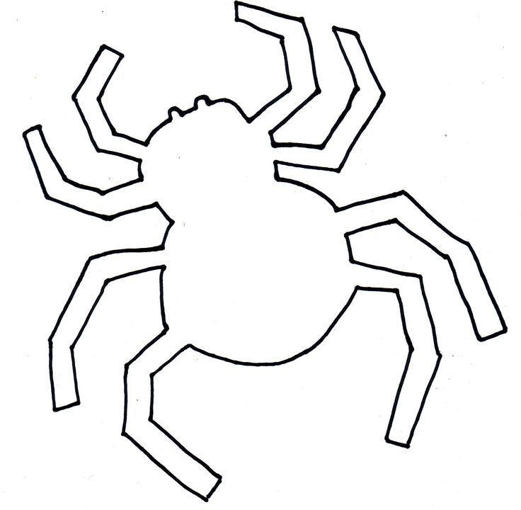 spider-template-clipart-best