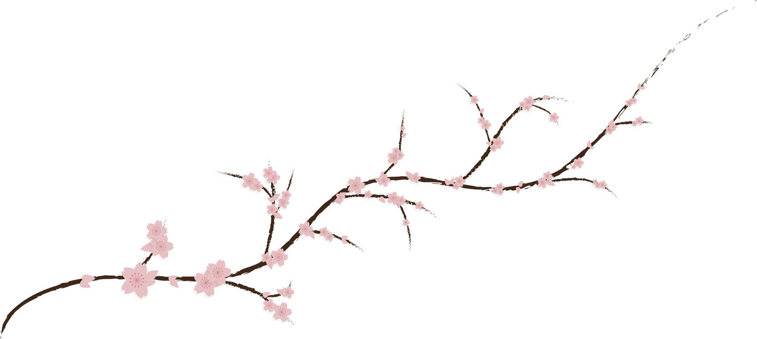 Cartoon Cherry Blossom - ClipArt Best