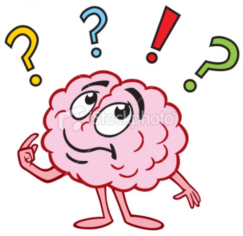 Brain clipart for kids png