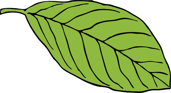 Apple Tree Leaf Clipart