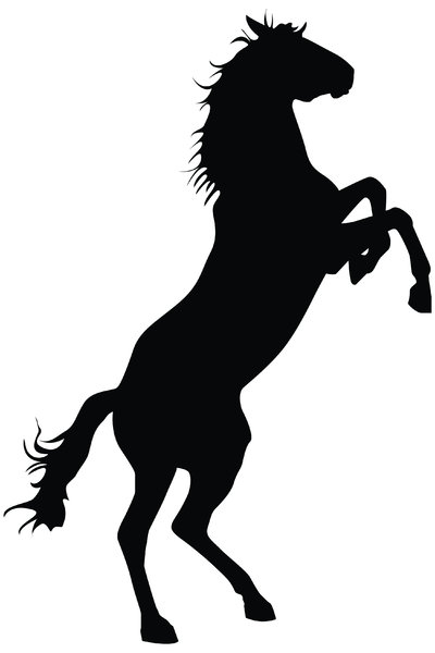 Bronco Horse | Free Download Clip Art | Free Clip Art | on Clipart ...