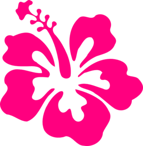 Pink hibiscus flower clip art
