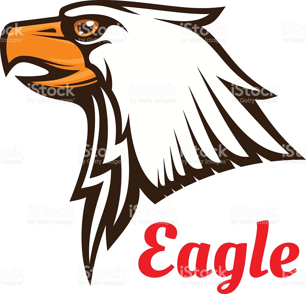 Eagle Vector Emblem Hawk Graphic Symbol stock vector art 599485890 ...