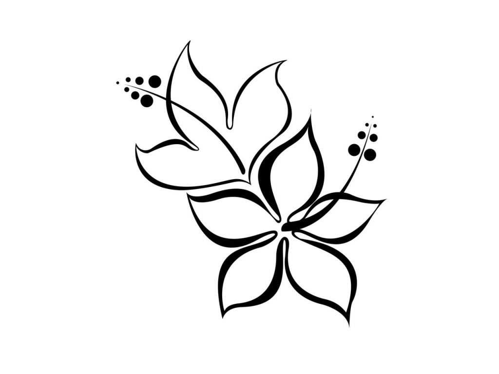 Simple Hibiscus Drawing