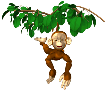 Easy Way (A Blog For Children): MONKEY SAVED HIMSELF FROM A ...