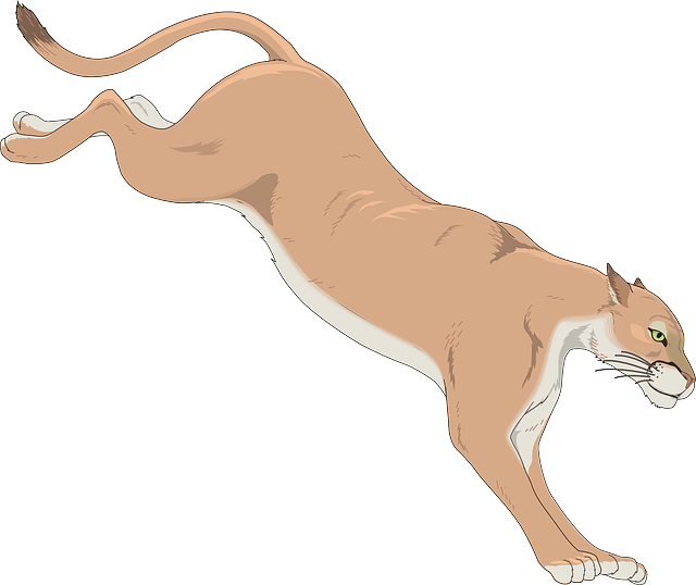 Free Leaping Cougar Clip Art