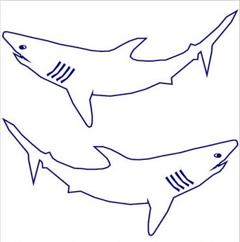 Shark Outline Image