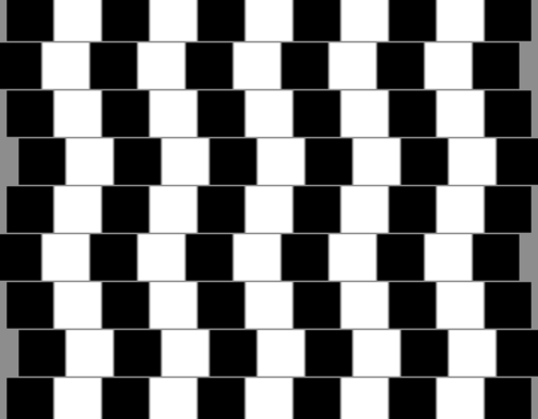 Optical Illusions: Seeing Is Not Always Believing | Reflections of ...