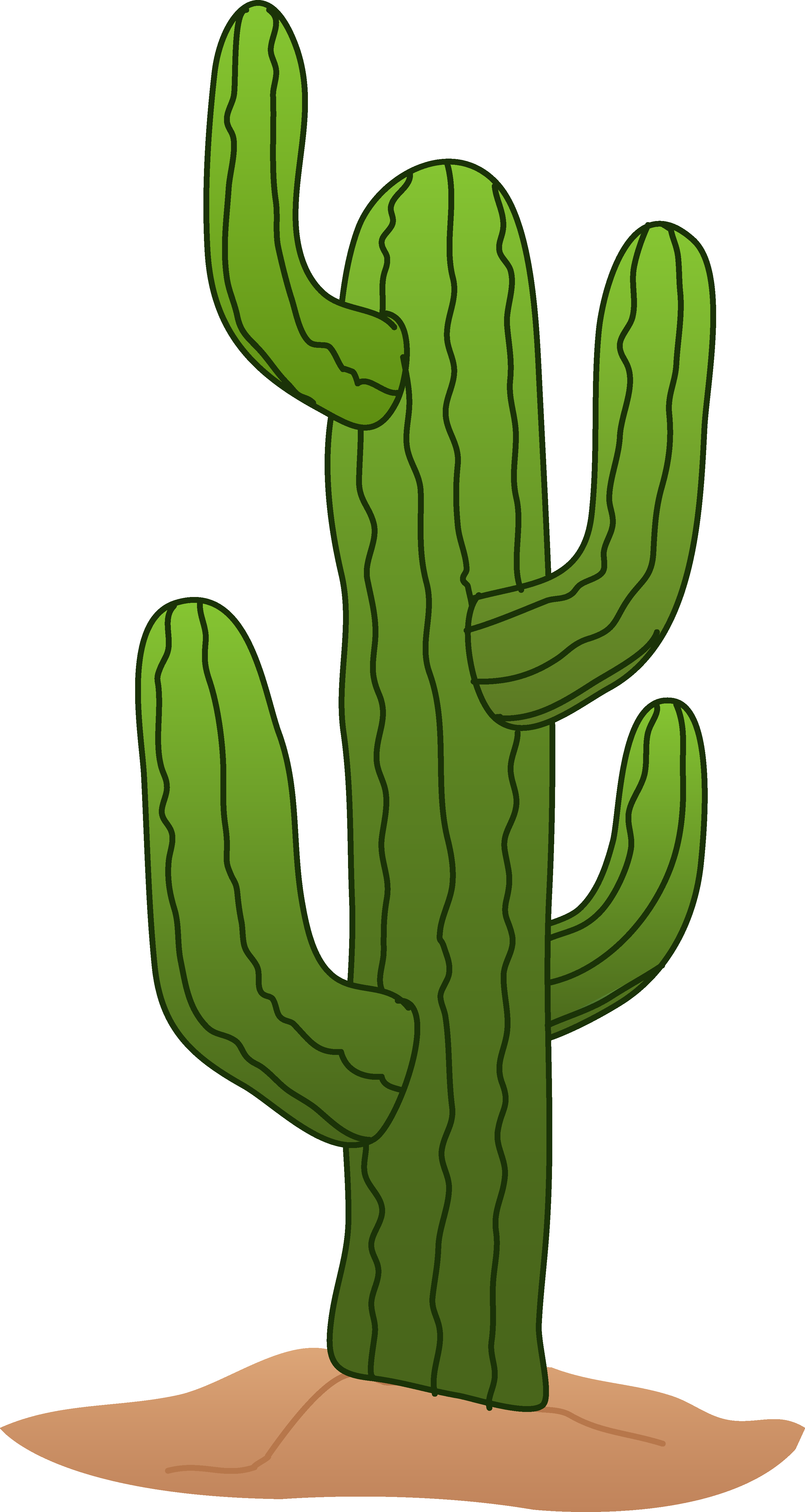 Mexican cactus clipart