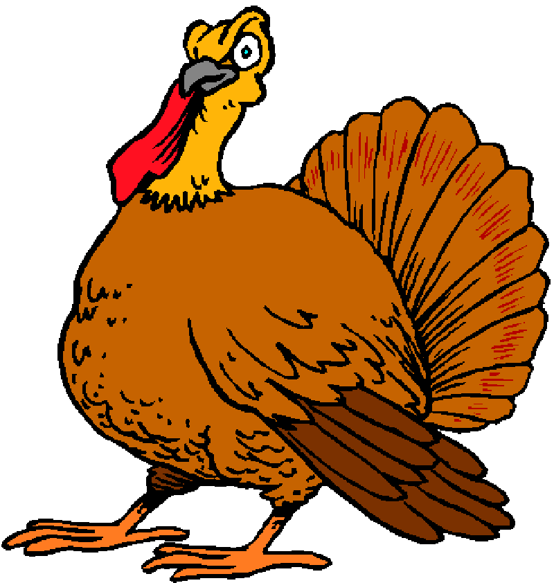 Cartoon Thanksgiving Turkey Pictures