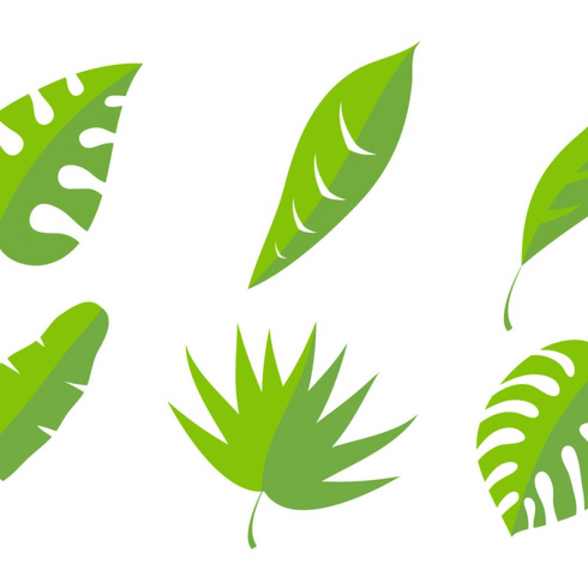 leaf clipart vector - photo #43
