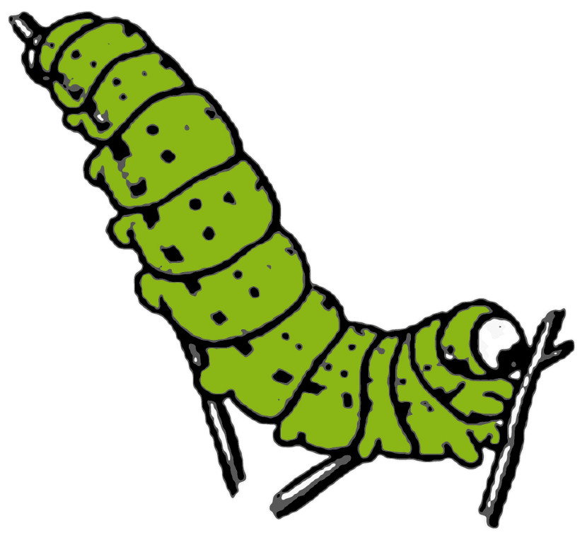 Best Caterpillar Clipart #10180 - Clipartion.com