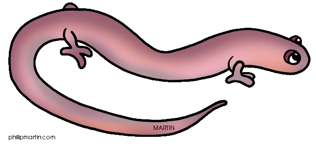 Salamander Clipart - Free Clipart Images